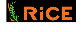 ricepersiankitchen.co.uk
